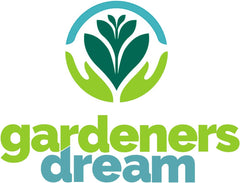 Gardeners Dream: 4 skutečné rostliny Tillandsie - 4 skutečné rostliny Tillandsia Air Plants - Terarijní rostliny - Dekorativní rostliny do terária - Pokojové rostliny na čištění vzduchu - Dekorativní rostliny - Skutečné rostliny