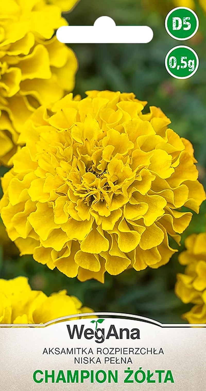 Cosmos Sensation Mix 1g semínek, Cosmos Mix Letní květiny, Zahradní rostliny Balkonové rostliny, Květinová semena