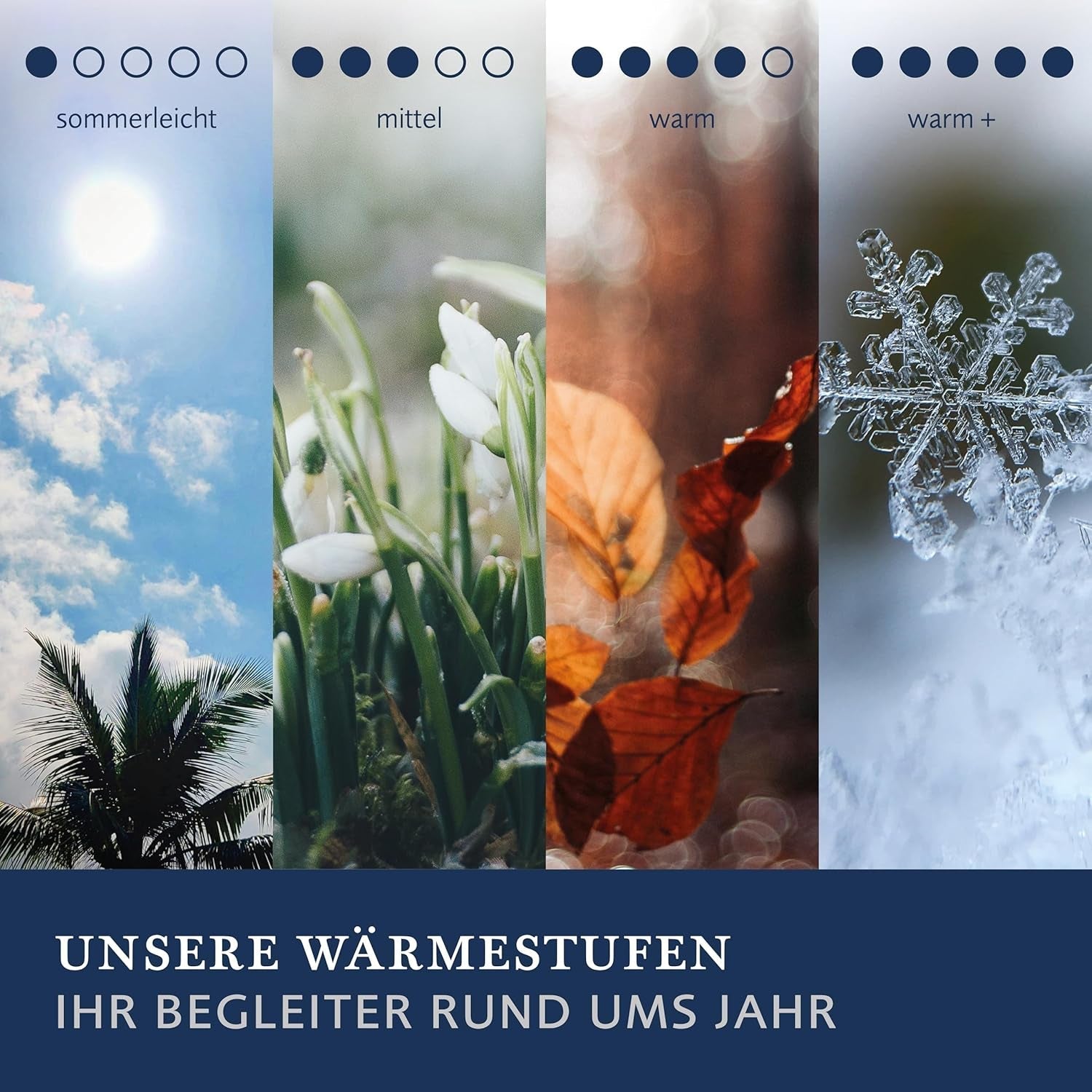 Péřová přikrývka Billerbeck - E04 Gold Edition - Přikrývka pro všechna roční období - 135 X 200 Cm Přikrývka z pravého prachového peří - Střední úroveň hřejivosti Přikrývky a přikrývky Naty Shop