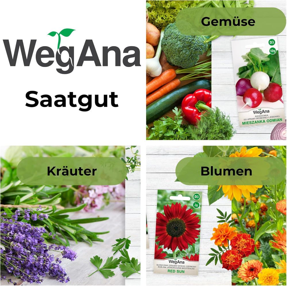 Cosmos Sensation Mix 1g semínek, Cosmos Mix Letní květiny, Zahradní rostliny Balkonové rostliny, Květinová semena