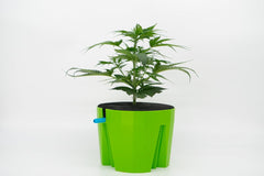 Hydro Farmer, 19dílná sada květináčů Ø 18 cm (zelená), pěstební systém včetně 4 květináčů, 4 zavlažovacích kruhů, 4 poklic, sady adaptérů a 2 m hadice, hydroponie, aeroponie