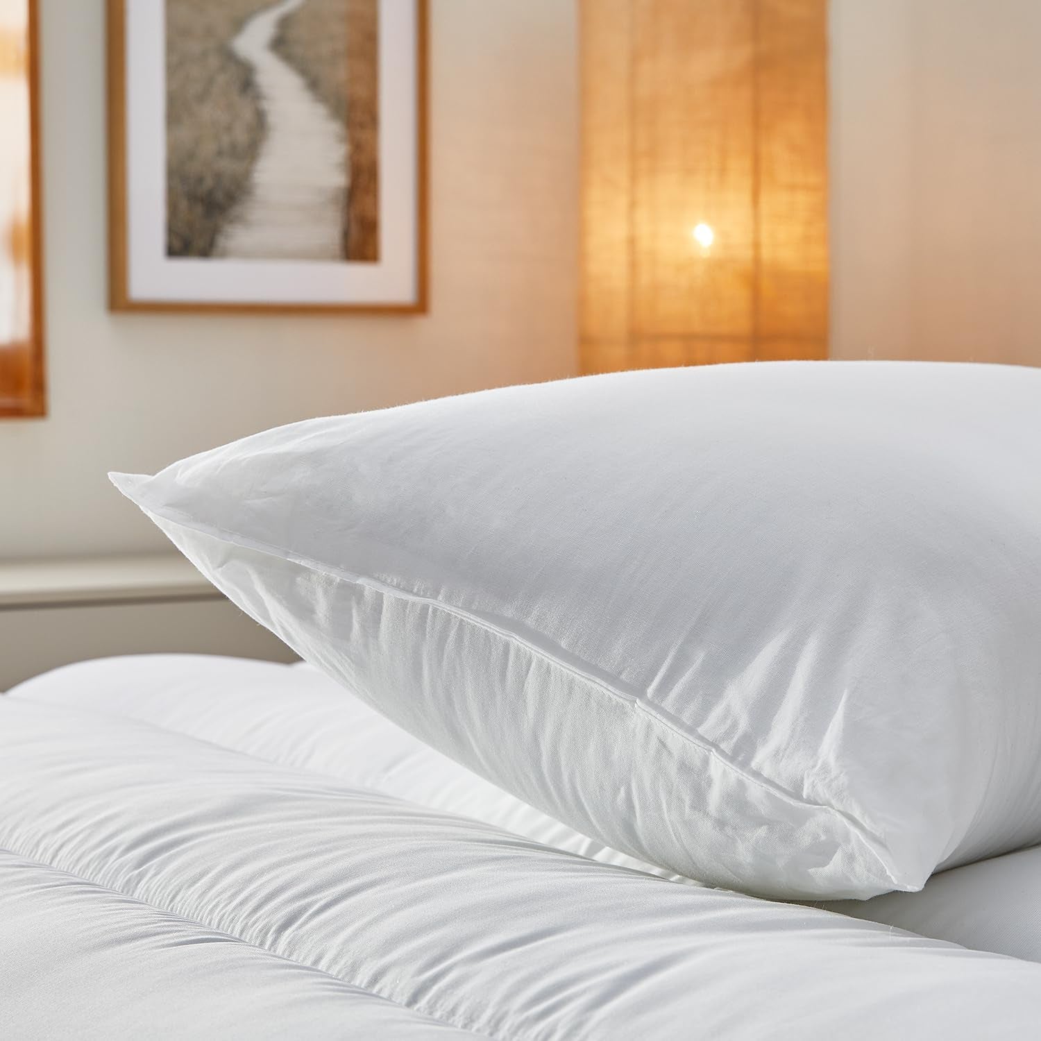 Pikolin Home Pachet de 2 perne din fibre hipoalergenice, acoperire exterioară din bumbac cu tratament anti-acarieni - fermitate redusă, fundul gurii de dormit, 60 cm, 60 X 40 cm Perne standard Naty Shop