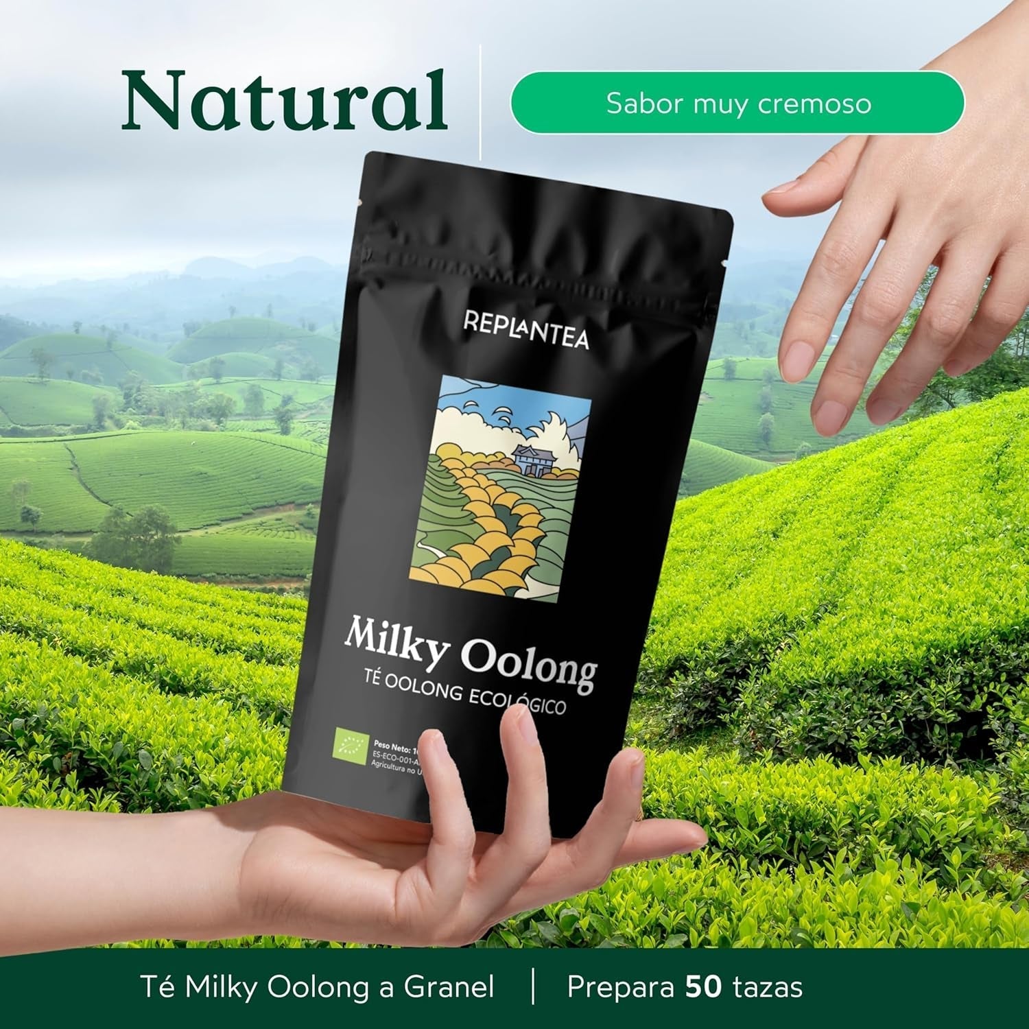 Ceai Milky Oolong BIO (100 g) | Ceai Oolong premium vrac cu note cremoase și dulci de lapte | Specialitate de ceai delicată | REPLANTEA