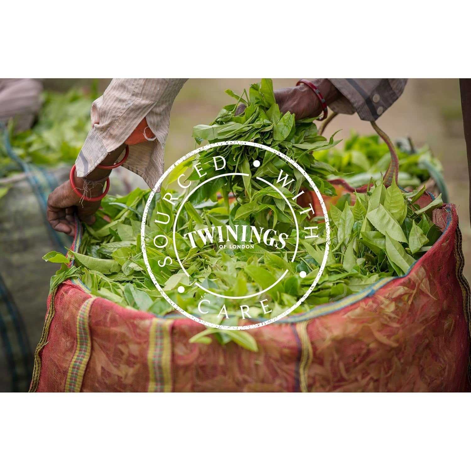 Twinings Earl Grey - Ceai negru în pliculețe, rafinat cu aromă de bergamotă - Ceai negru răcoritor din China, 25 pliculețe (50 g) (pachet cu 4)