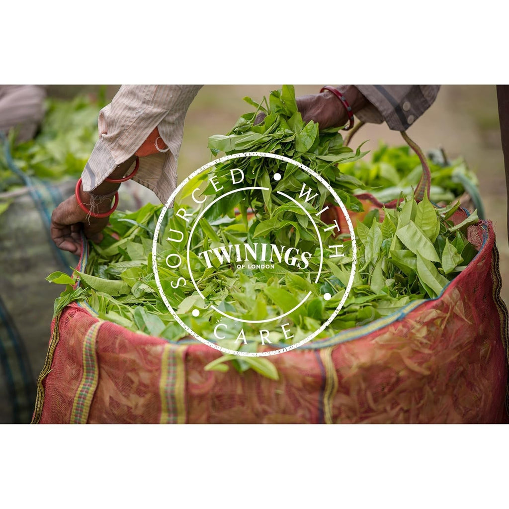 Twinings English Breakfast Tea Ceai negru vrac în cutie de ceai Ceai negru puternic din frunze de ceai de înaltă calitate culese din cele mai bune plantații de ceai din Sri Lanka și India G, neutru, 100 grame