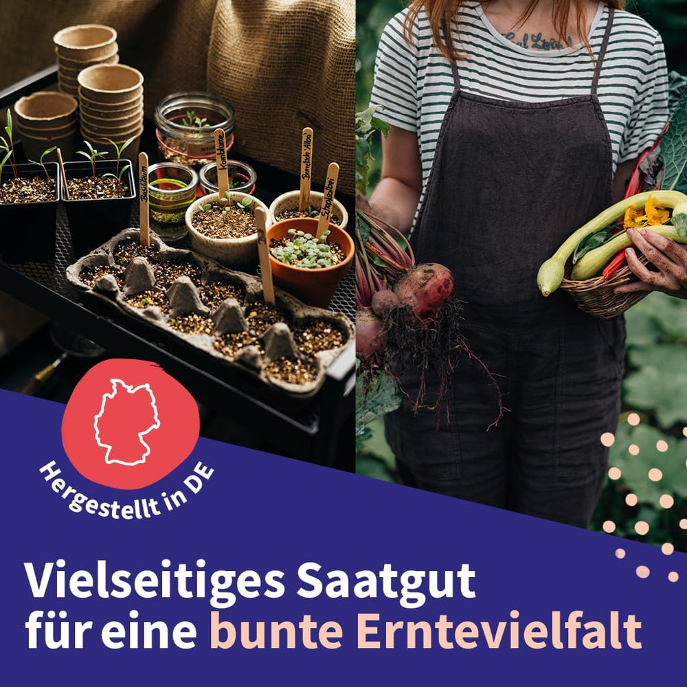 Magic Garden Seeds - Set semen středoevropských léčivých rostlin - 12 tradičních odrůd oblíbených léčivých rostlin - Heirloem Odrůdy - Zahradní doplňky - Semena rostlin - Dárek pro milovníky zahrad