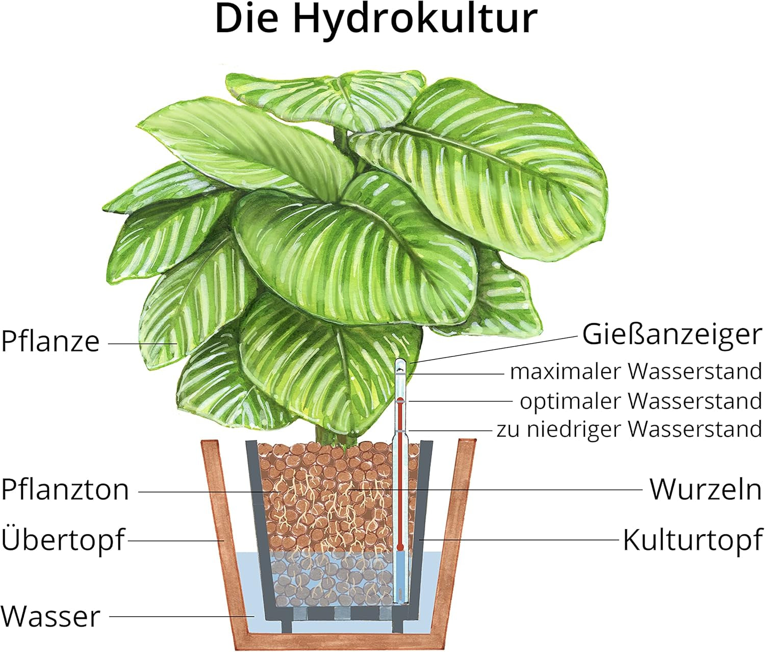 Sadební hlína Dehner, 10 l, zrnitost 4/8 mm, univerzální velikost