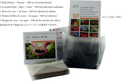 SAFLAX - Garden in the Bag - Afrikanische Riesenkalebasse - 15 Samen - Mit Anzuchtsubstrat Im Praktischen, Selbst Aufstellenden Beutel - Lagenaria Siceraria