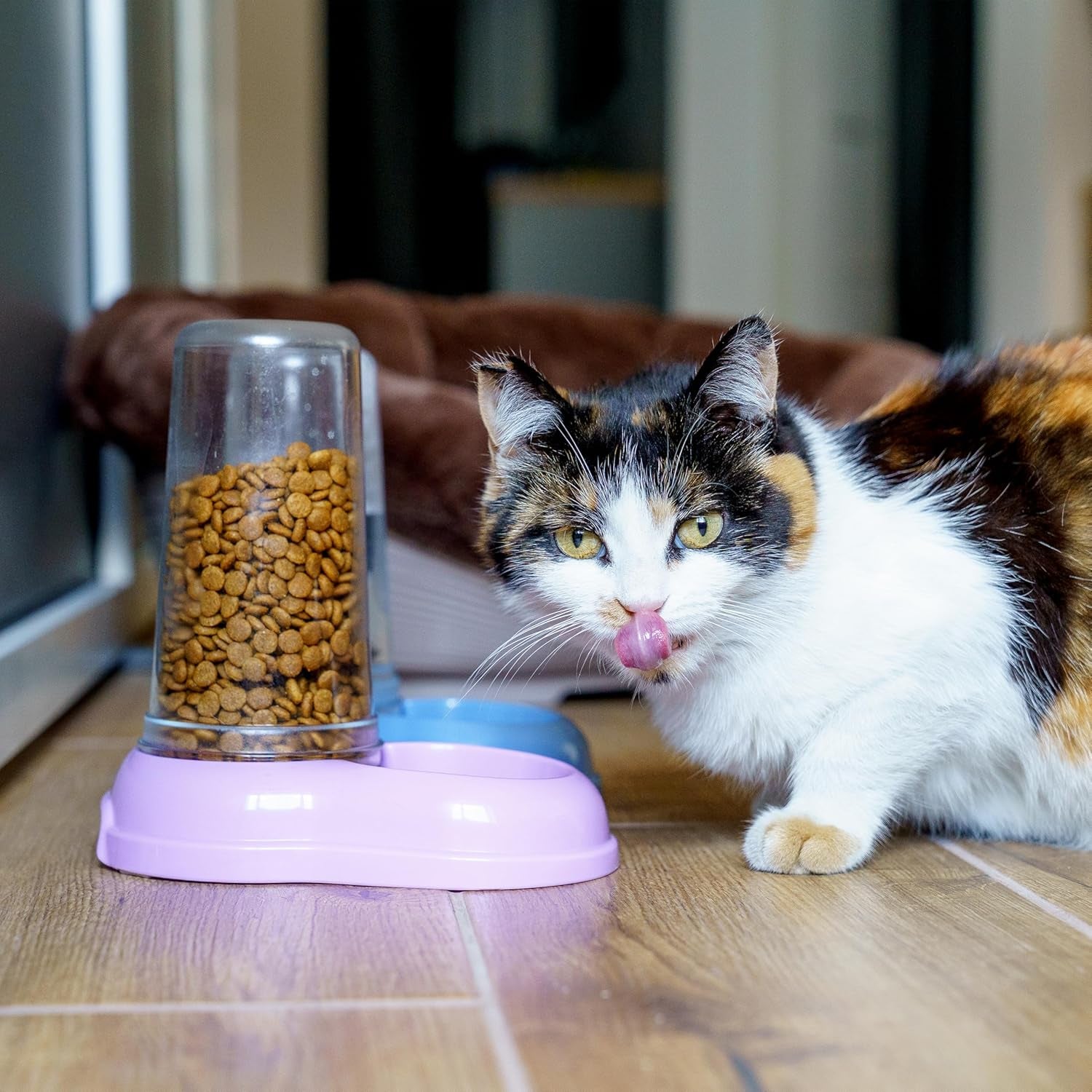 Ferplast Futter- oder Wasserspender für Hunde und Katzen AZIMUT 600 Futtertrog Voda 0,6 l, Rutschfester Boden, 12,5 x 19 x V 19,5 cm Modrá