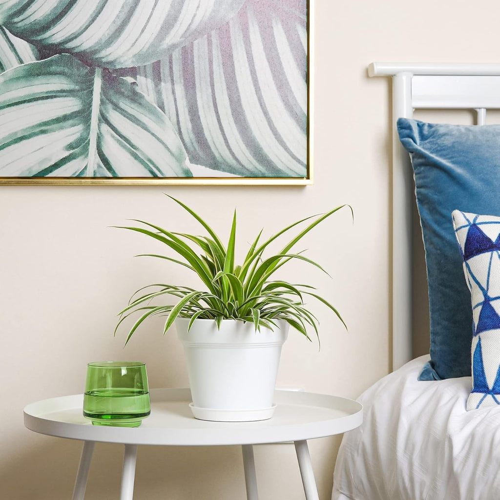 T4U Ghiveci de flori din plastic de 16 cm cu farfurie, set de 6 ghivece din plastic pentru plante aromatice cu găuri multiple de drenaj, ghiveci rotund pentru plante suculente de interior și balcon, cactuși, alb