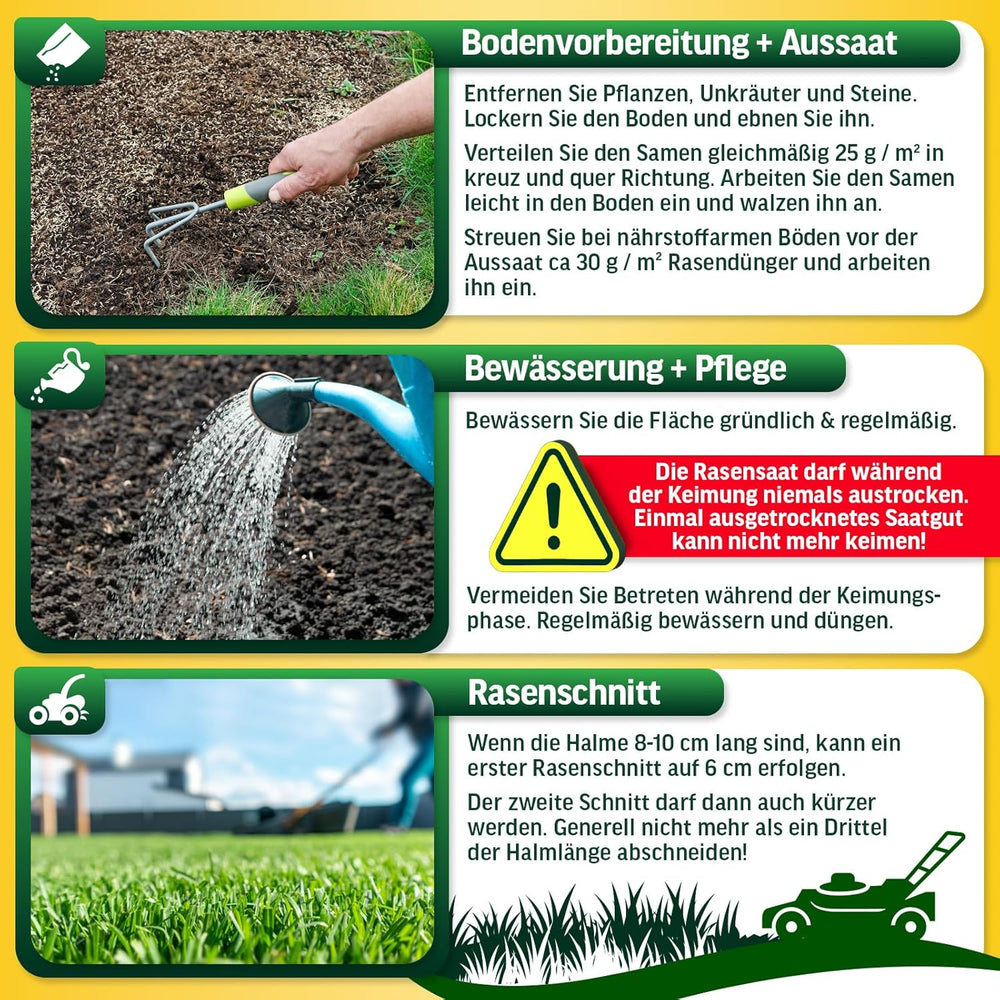 Rasensamen Schnellkeimend Sommer Und Herbst All Saison - Grassamen - Rasensamen Sport Und Spiel Aus Hochwertigster Gräser Mischung Empfohlener RSM Sorten - 1Kg Für 40M2 Made in Germany (1Kg)
