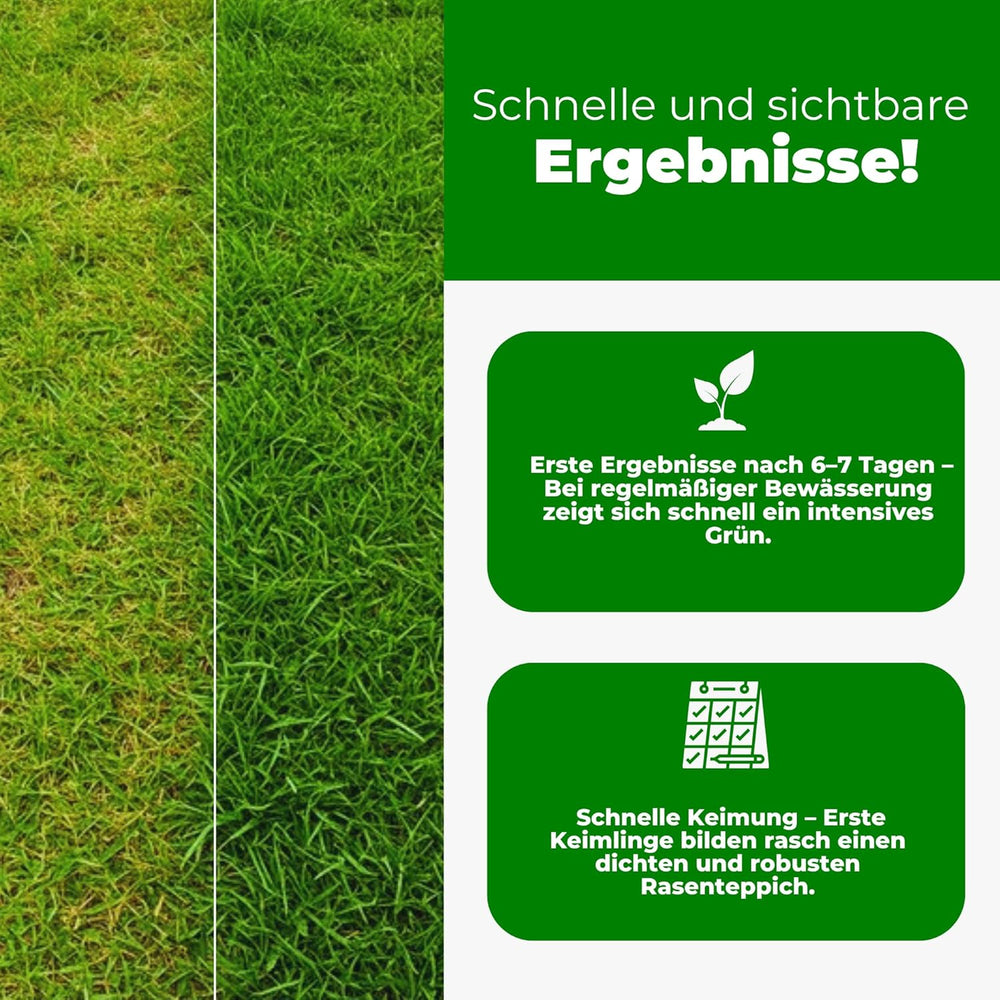 Mikroklee - Weißklee Trifolium Repens 500G - Rasenklee Bereichert Den Rasen - Klee Samen Zur Anlockung Von Bienen -Saatgut Für Gleichmäßige, Dichte Grasnarbe Das Ganze Jahr Über