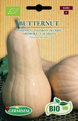Kürbis BUTTERNUT, ECBIO4002