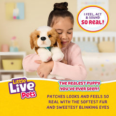 Little Live Pets My Really Real Puppy – Petice; Cățeluș interactiv; peste 60 de sunete/reacții; aspect realist; 1 din 72 de variante; set de joacă cu geantă de transport; baterii incluse; vârste 5+