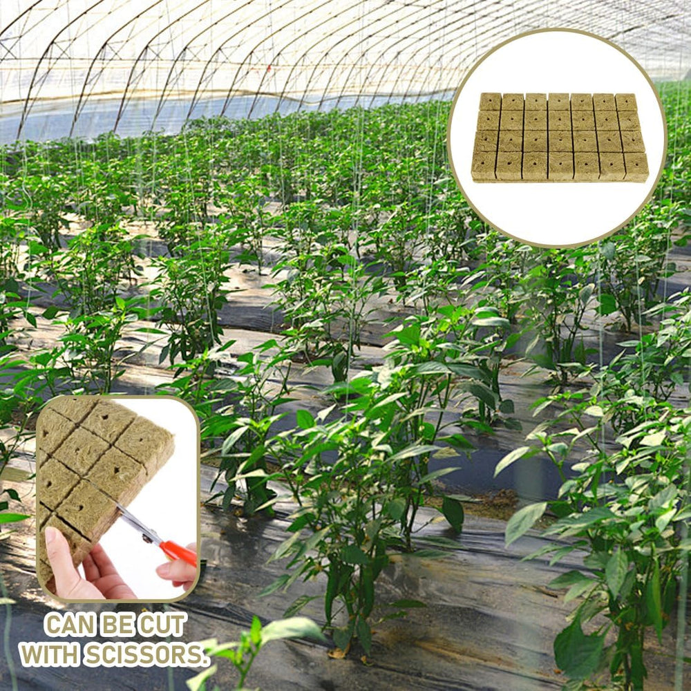 Rockwool Seedling Cubes 28 - Rockwool Cubes 4x4x4cm - Sadbové kostky, Rockwool Kostky, Hydroponické sadební systémy/Klonované rostliny/Školní projekty, Pěstování sazenic bez půdy