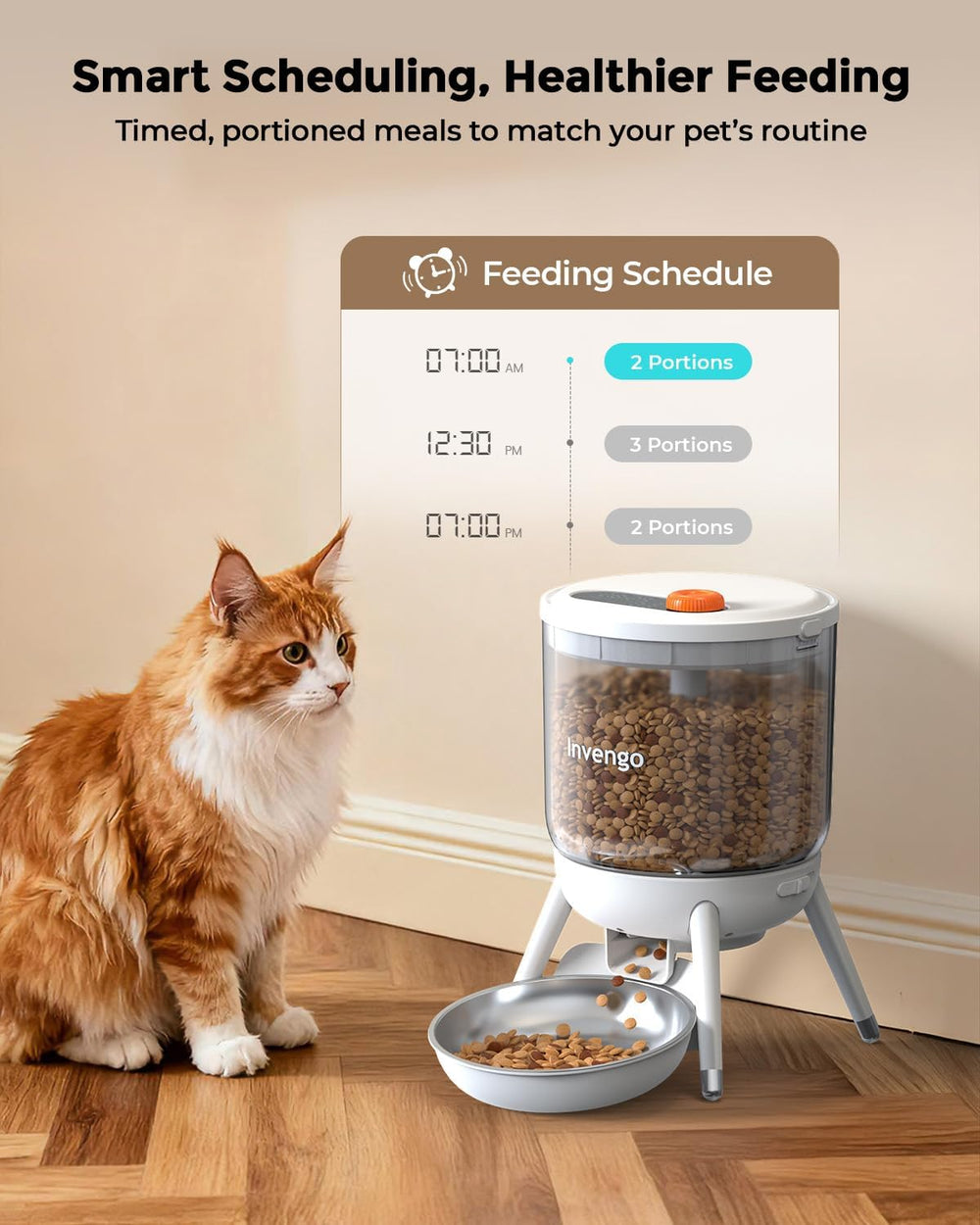 Automatické krmítko pro kočky, Futterautomat Katze mit Zeitsteuerung, 3L Trichter, Doppelstromversorgung, Automatic Trockenfutter für Katzen & Hunde, Katzen Futterautomat, Schwarz (Weiß)