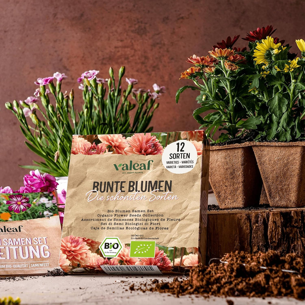 Sada organických květinových semínek | 12 druhů semen květin | Prémiová semena květin | Wildflower Seed Plant Set Seed | Semena květin | Semena květin na balkon | Ideální dárek se semeny květin