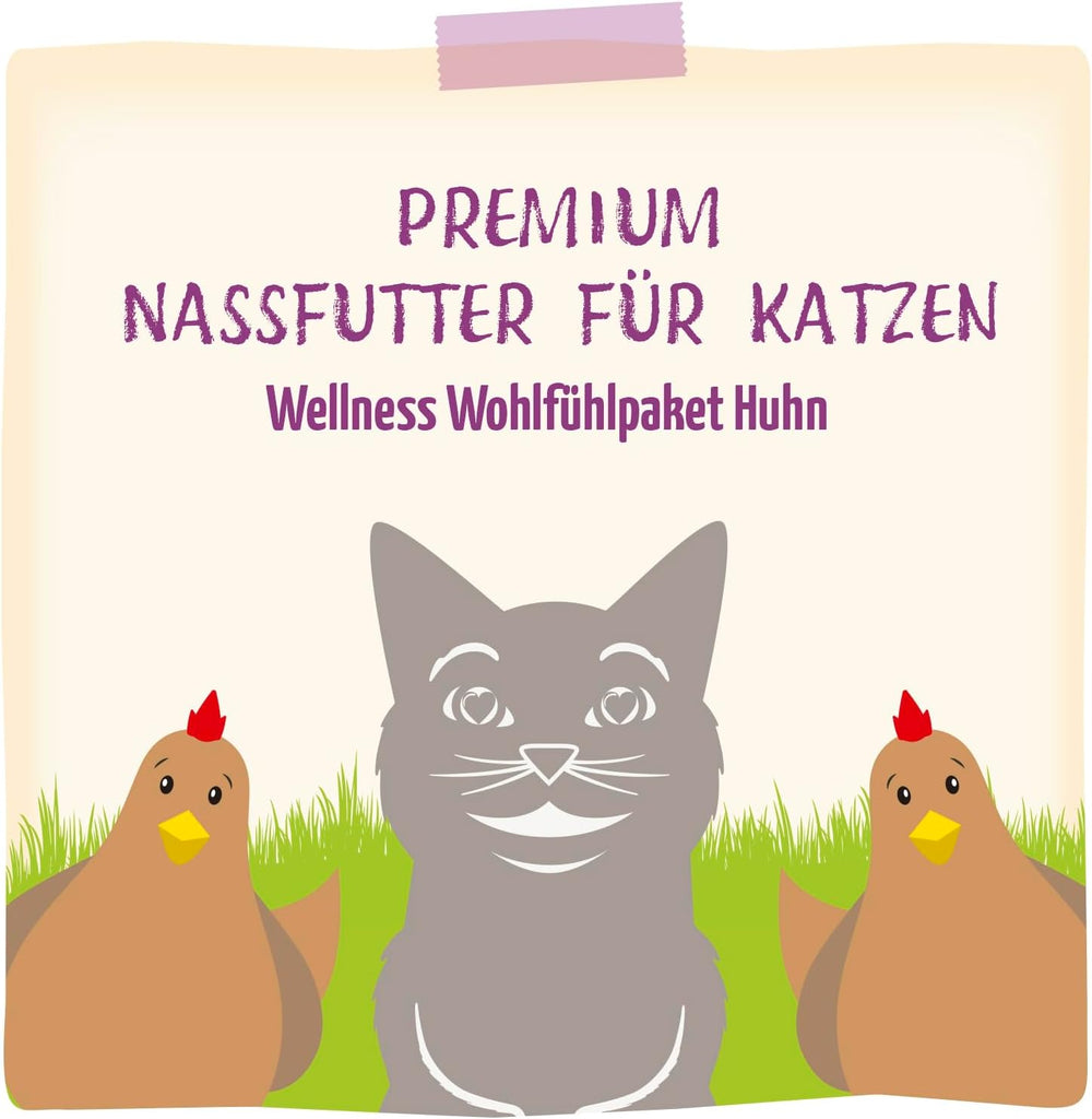 MjAMjAM – Hrană umedă premium pentru pisici - Pachet Wellness cu pui, pachet de 12 (12 x 125 g), fără cereale cu carne suplimentară