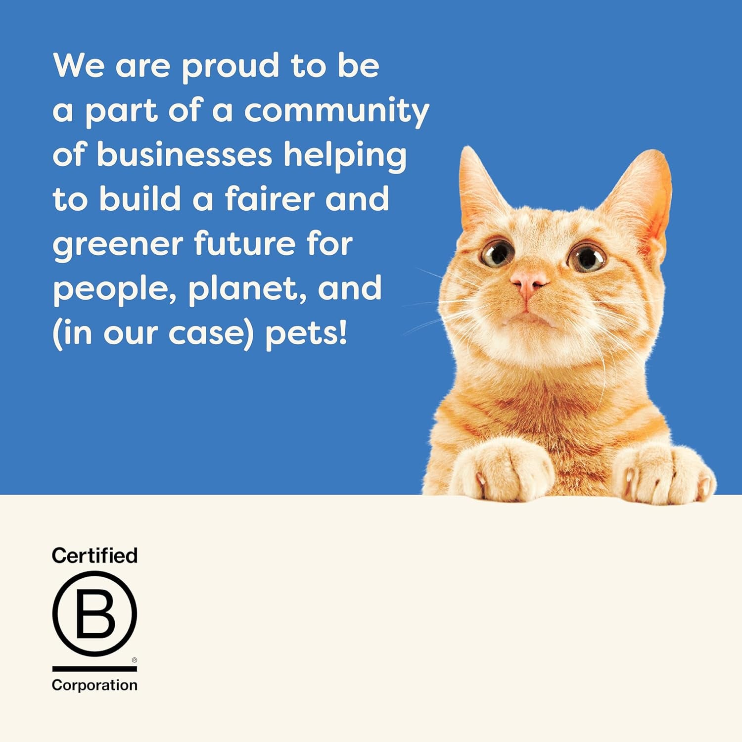 Applaws Cat Pouch Tuna Fillet in Jelly 1x(16x70g)