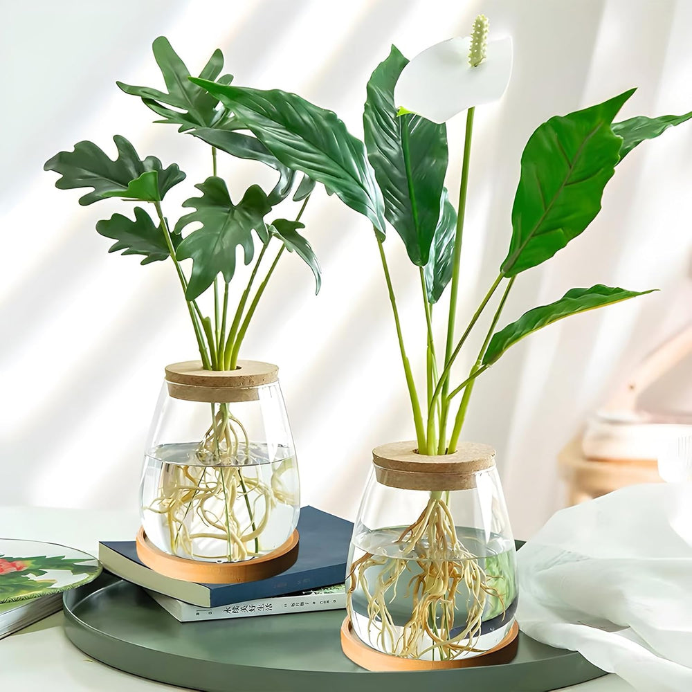 Hydroponická rostlinná pěstovací stanice, 12 x 11 cm, váza se semeny avokáda, skleněný květináč, skleněná hydroponická váza pro vodní rostliny nebo květiny, kancelářský stůl, 2 kusy