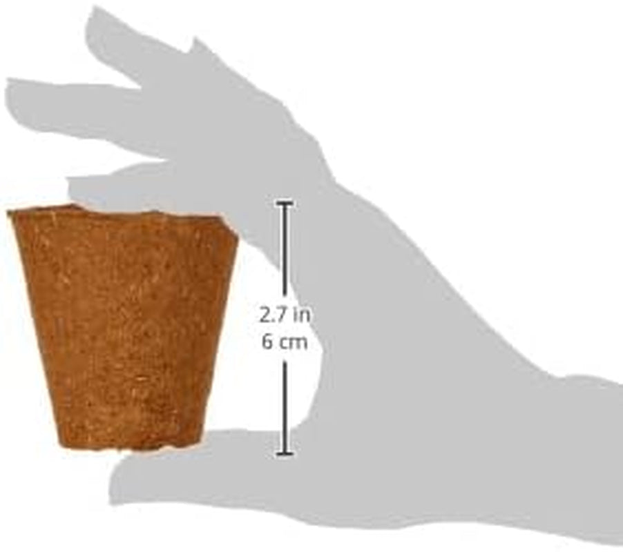 Ghivece Dehner pentru răsaduri, rotunde, Ø 6 cm, 96 bucăți, maro