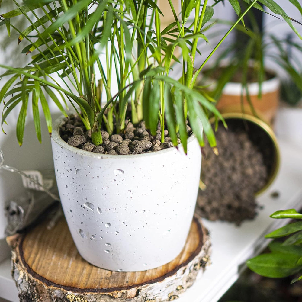 Browin 749950 Keramsit - keramzit 4 L, 10-20 mm, hnědá