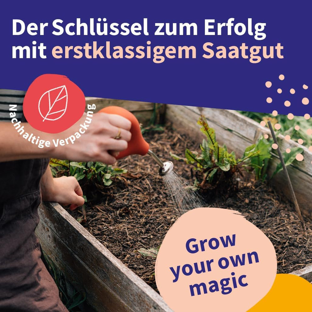 Magic Garden Seeds - Set semen středoevropských léčivých rostlin - 12 tradičních odrůd oblíbených léčivých rostlin - Heirloem Odrůdy - Zahradní doplňky - Semena rostlin - Dárek pro milovníky zahrad