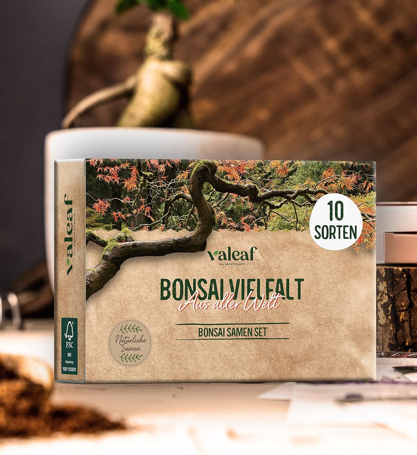 10 bonsajových semínek z 5 kontinentů | Semena exotických stromů pro vaši jedinečnou bonsai | Starter Kit a rostlinné nadšence | Naše sada bonsají jako tip na speciální dárek