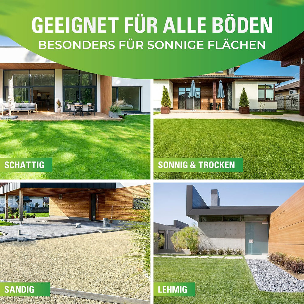 Greenyp® Sunny I Dürreresistenter Trockenrasen I 0,2Kg Für 10M² I Grassamen Rasensamen Rasensaat Gras Nachsaat Schnellkeimend
