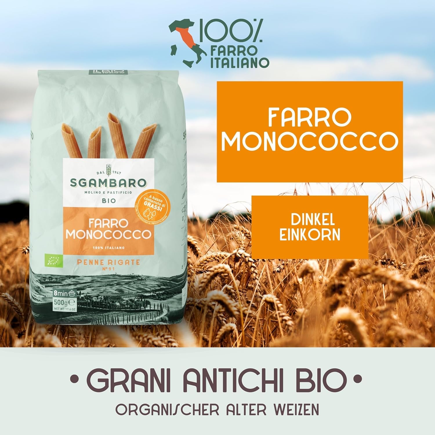 Bio těstoviny Penne Rigate N.91 - 500g Nízkotučné pšeničné těstoviny - zdroj vlákniny a bílkovin