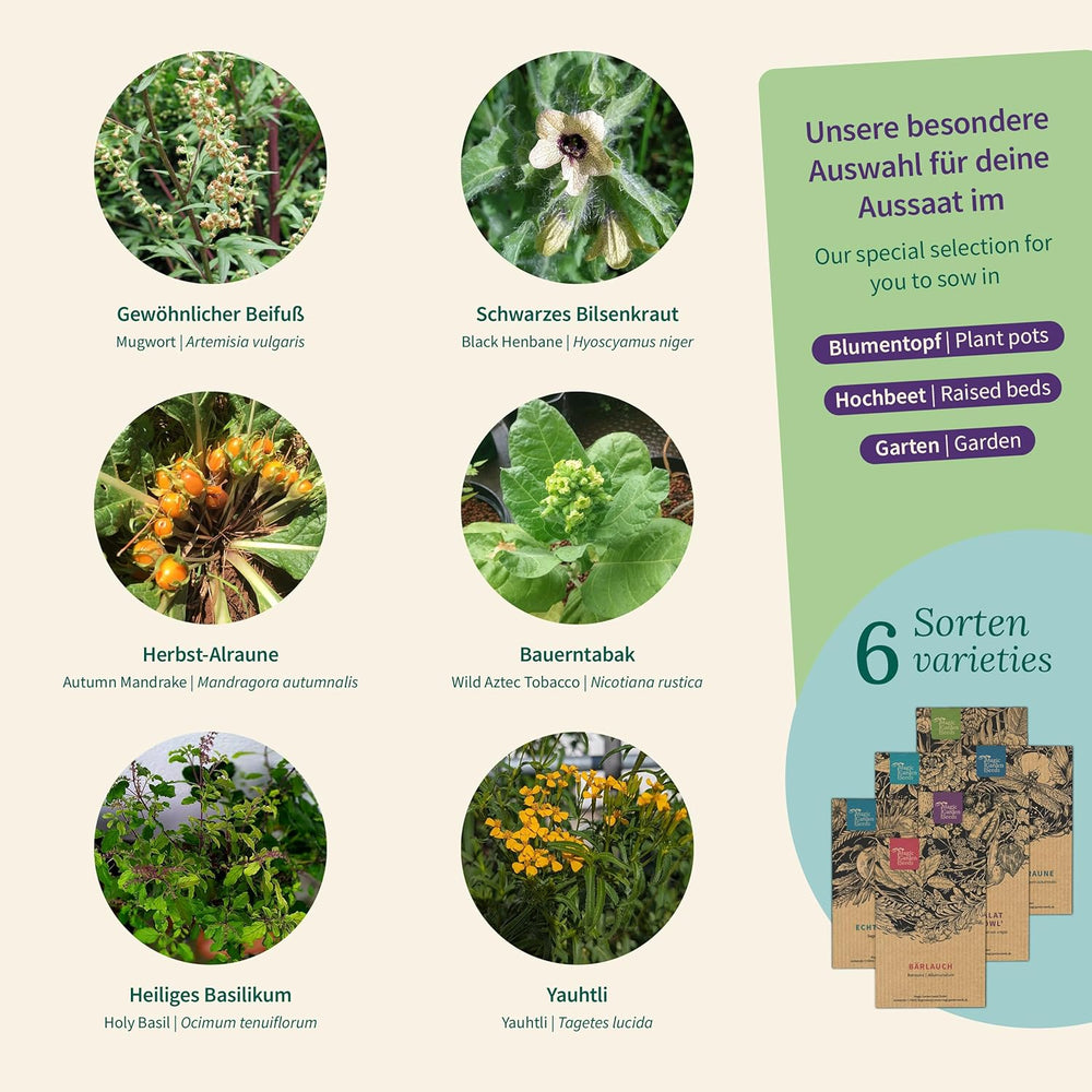 Magic Garden Seeds – Kouzelné rostliny se 6 kouzelnými bylinkami: Pelyněk, Pelyněk, Mandragora a další – Rostliny kadidla, které si můžete vypěstovat a dát jako dárky