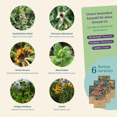 Magic Garden Seeds – Kouzelné rostliny se 6 kouzelnými bylinkami: Pelyněk, Pelyněk, Mandragora a další – Rostliny kadidla, které si můžete vypěstovat a dát jako dárky