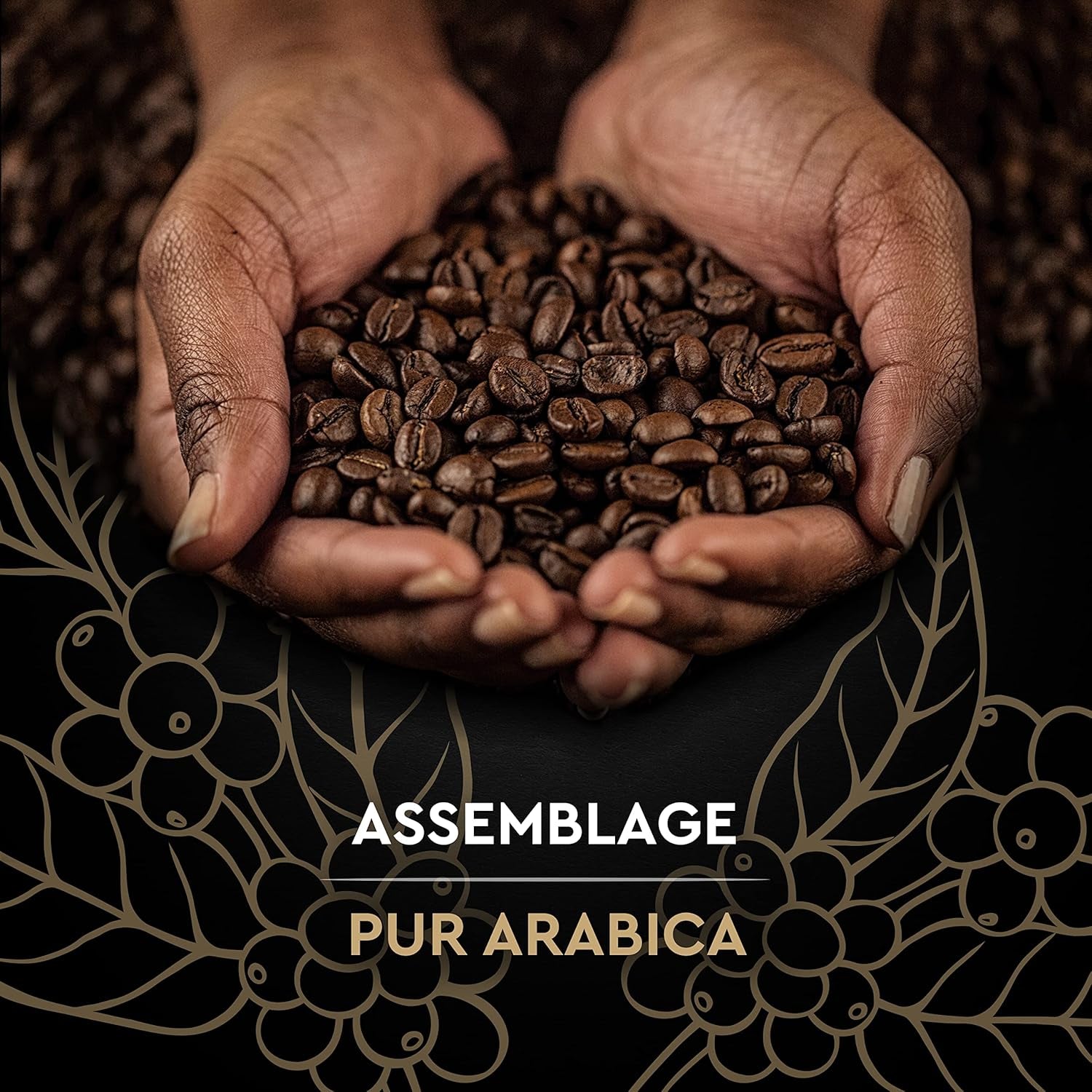 Black Card - Cafea în boabe - Clasică - Arabica pură - Certificată Rainforest Alliance - 2 pliculețe a câte 1 kg fiecare