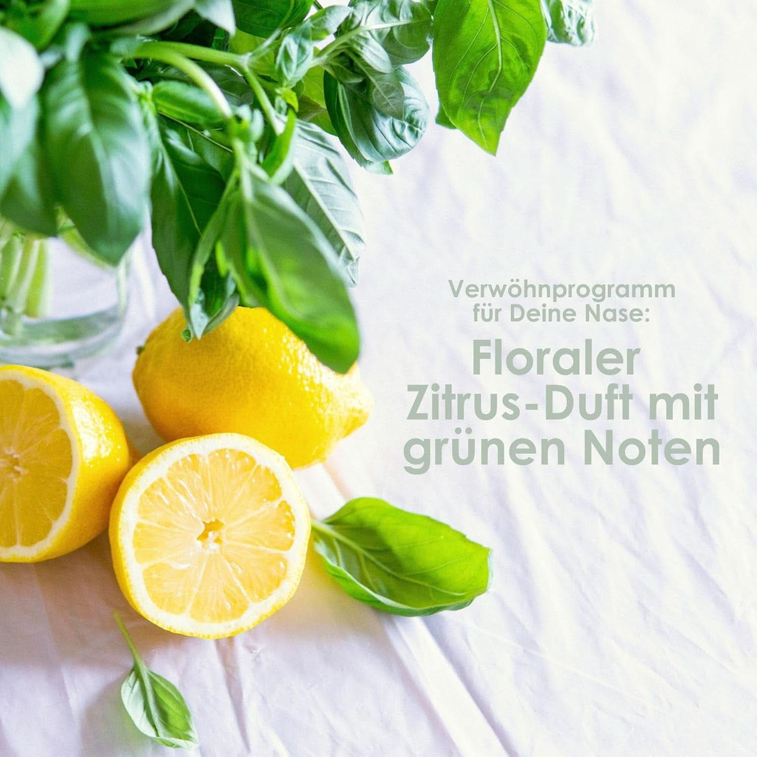 Jean & Len Aloe Vera & Basil hydratační šampon, pro velmi suché vlasy, 300 ml Sprcha a koupel Naty Shop