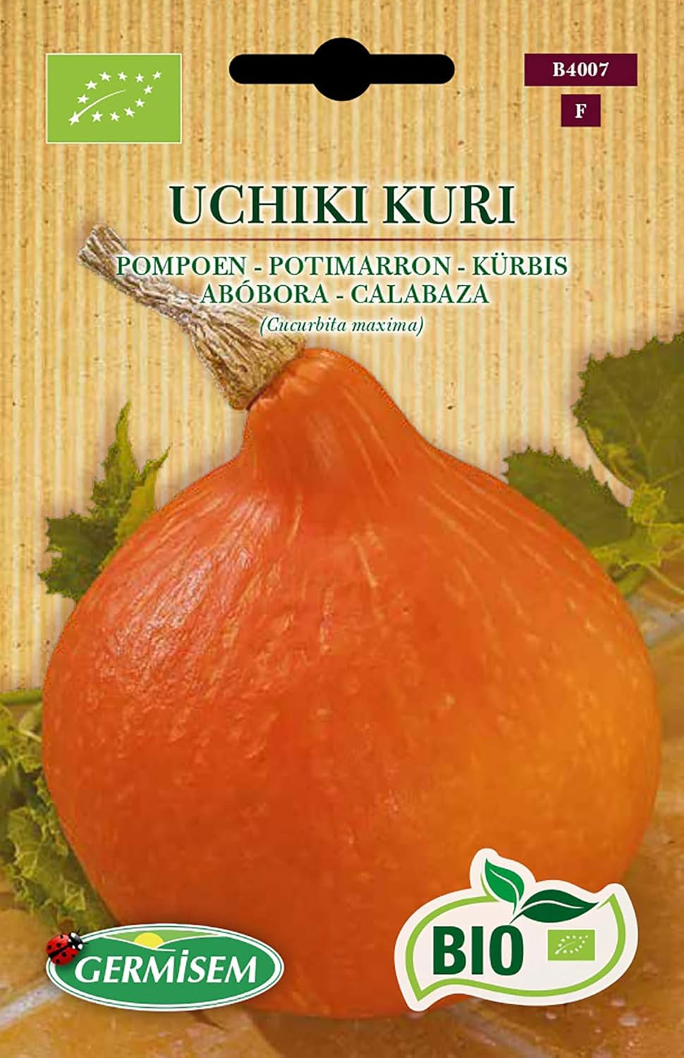 Kürbis UCHIKI KURI, ECBIO4007