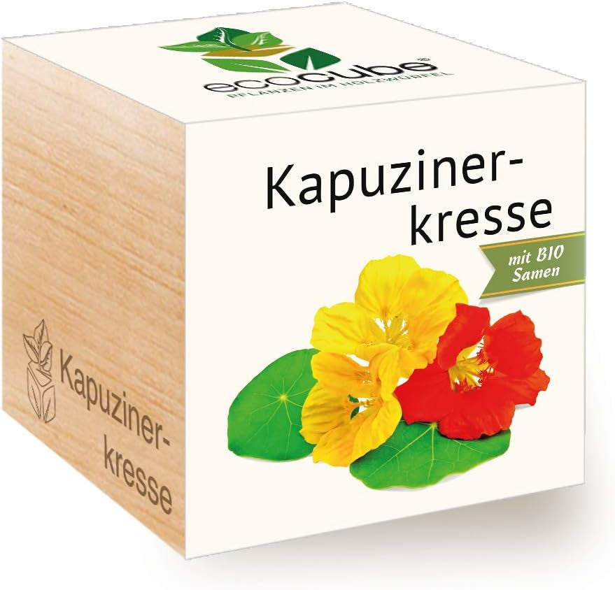 Feel Green Ecocube Weihnachtsbaum/Xmas Tree, Nachhaltige Geschenkidee (100% Eco Friendly), Grow Your Own/Anzuchtset, Pflanzen Im Holzwürfel, Made in Austria