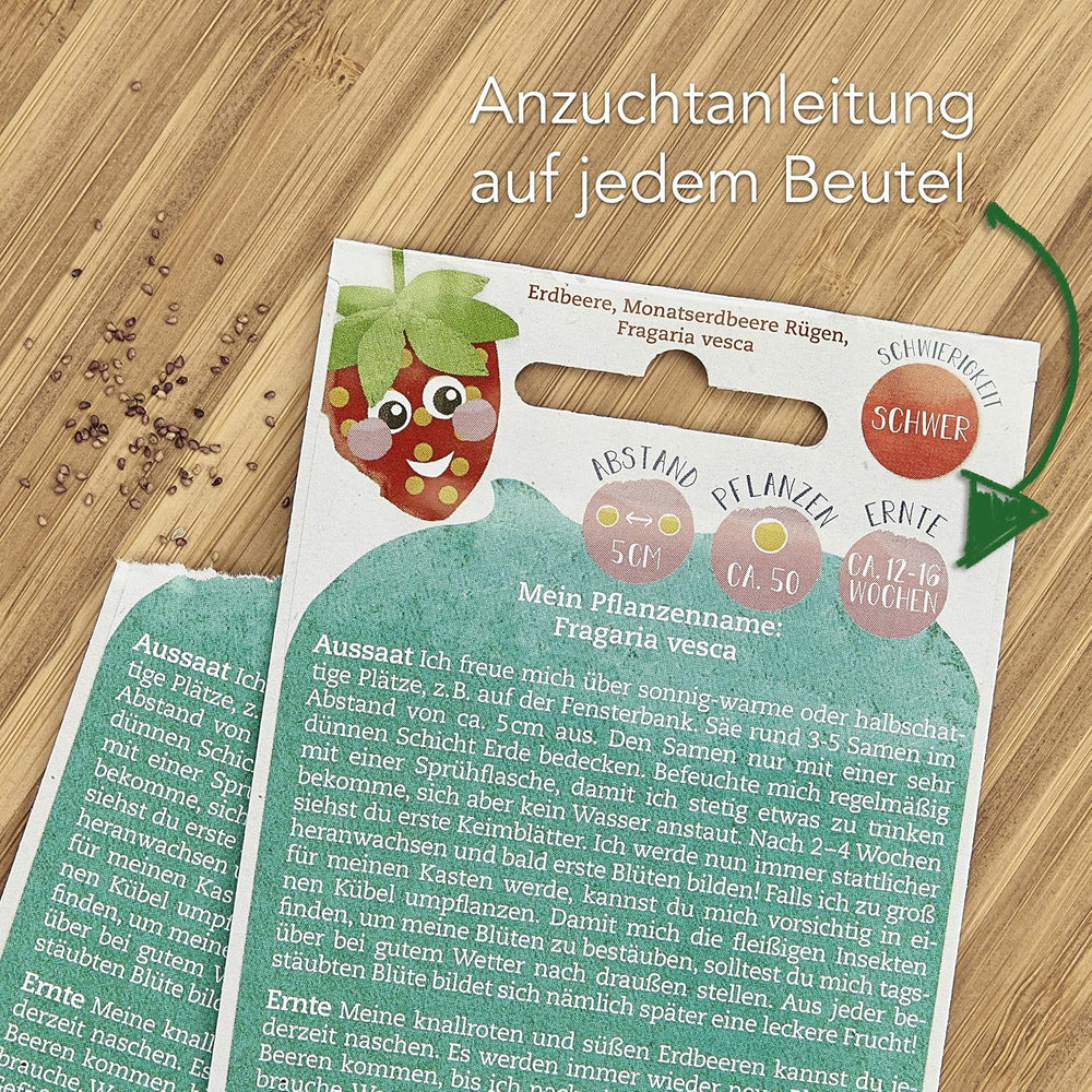 Balkon Tomaten Samen Für Ca 5X Tomaten Pflanze Theo : Premium Tomatensamen Für Kinder Und Erwachsene – Gemüse Samen – Garten Und Balkontomaten Samen – Gemüse Saatgut Für Kids – Saatgut Balkon Owngrown