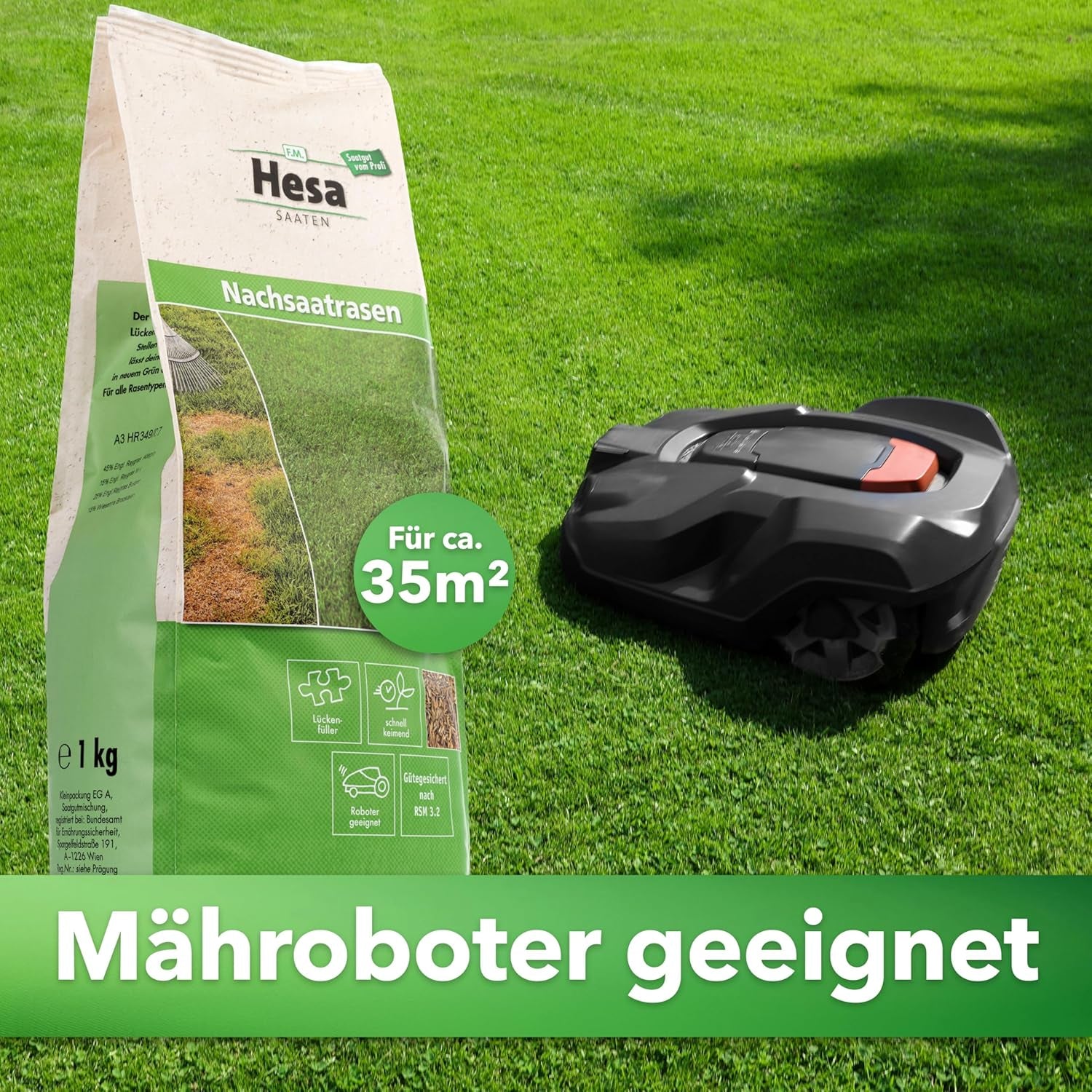 Hesa Nachsaatrasen, 1 Kg Für 35 M², RSM 3.2, Schnellkeimende Premium Rasennachsaat Von Frühling Bis Herbst, Rasenreparatur in Profiqualität