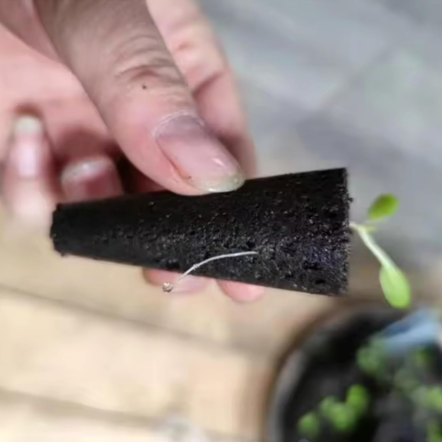 50 náhradních pěstebních houbiček, trubek pro zakládání semen, hmoždinek pro pěstování kořenů, sad pro hydroponické pěstování pro systémy hydroponického pěstování, vnitřní hydroponie, zahrada