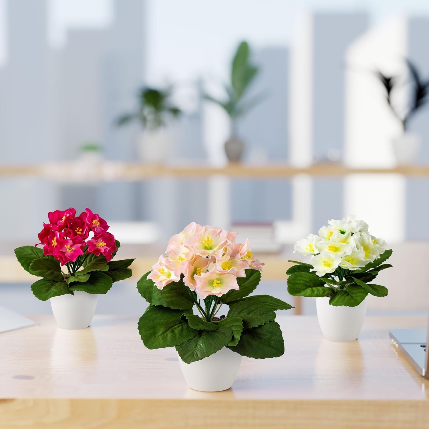PASCH® Begonie Im Hochglanz-Keramiktopf | Kunstblumen Im Topf | Künstliche Blumen Wie Echt | Fake Blumen | Kunstblumen Wie Echt (Japanische Begonie, 3 Stück, 16Cm)