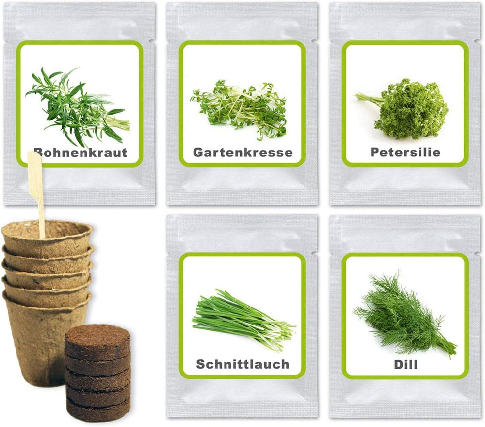 Kouzlo přírody Oma's Küchenkräuter Box - Anzuchtset - 5 Sorten frische Kräuter Samen - Zum Selberzüchten oder zum Verschenken