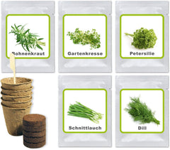 Kouzlo přírody Oma's Küchenkräuter Box - Anzuchtset - 5 Sorten frische Kräuter Samen - Zum Selberzüchten oder zum Verschenken