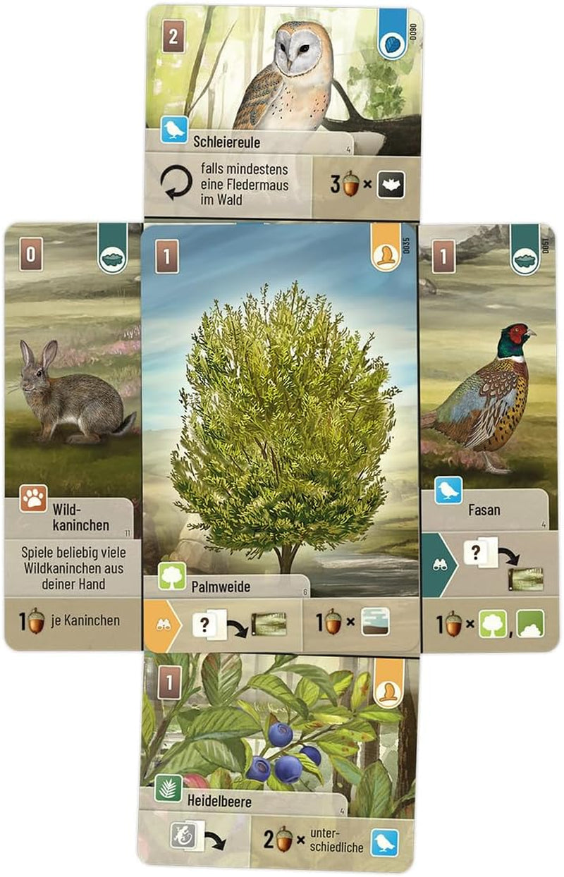 Vyhlídka, Smíšený les: Dartmoor, Základní hra, Rodinná hra, Karetní hra, 2–5 hráčů, Věk 10+, 60 minut, Němčina