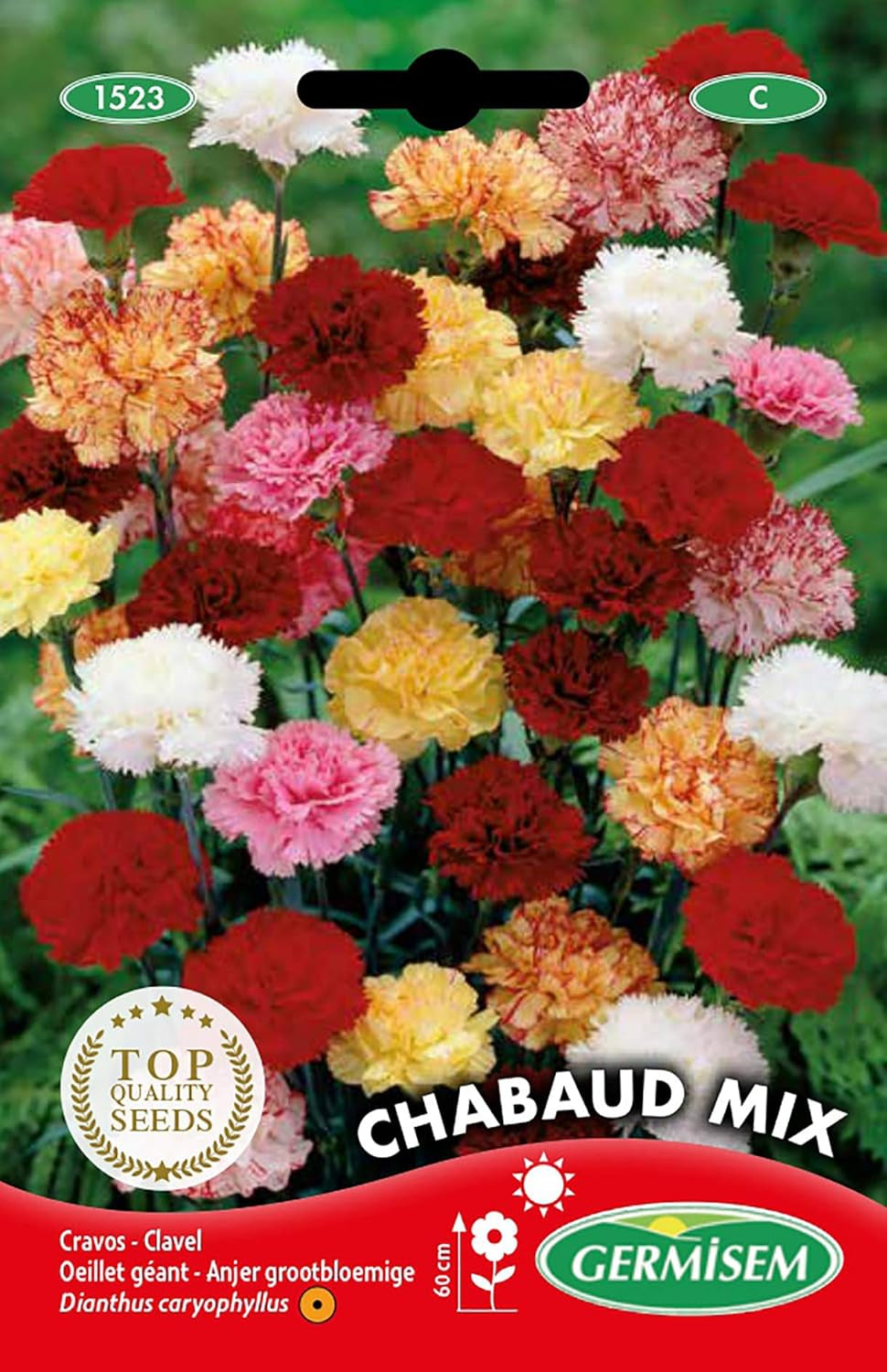 Gartennelken EC1523 vícebarevný