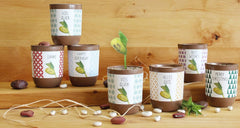 Feel Green Message Bean, Naturdose Mit Lasergravierter Glücksbohne"Best Wishes", Nachhaltige Geschenkidee, 100% Eco Friendly, Anzuchtset, Made in Austria