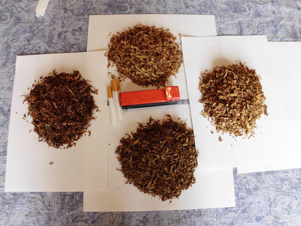 Tobacco Seeds 5x1000 Genuine Smoking Tobacco 5 Variety Virginia, Red Front, Orient Xanthi, Baden Geudertheimer Fresh. Sklizeň 2025