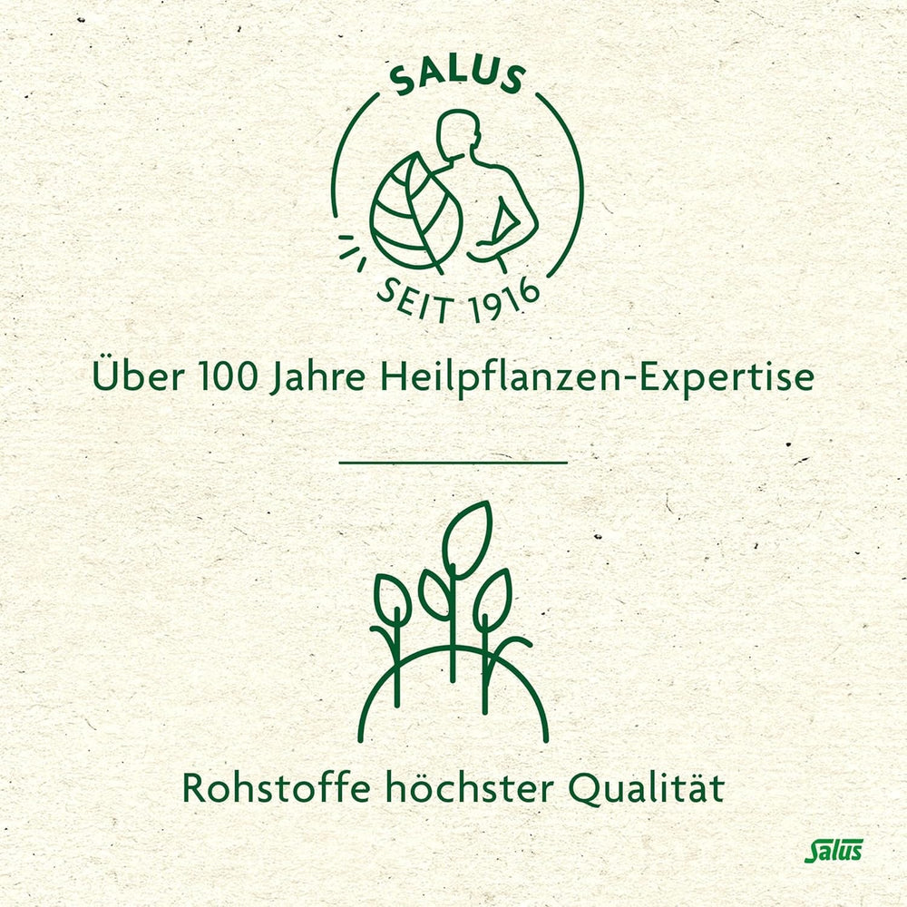 Salus - Ceai de măceșe și malva - 1X 15 pliculețe filtru (45 g) - Ceai de fructe - Compoziție din măceșe și flori de hibiscus african - Răcoritor - Bio