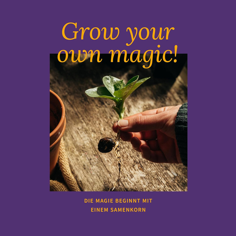 Magic Garden Seeds - Krabička na vonná semínka rostlin - Květinové kouzlo pro balkón, květinový záhon a smysly - Zdarma opylovaná semínka, okouzlující květiny jako tip na dárek pro nadšence do zahradnictví