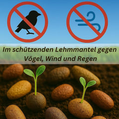 Semena květin v ochranném jílovém obalu pro včely a motýly, 400g. Směs vytrvalých a zimovzdorných divokých květin na 20 m². Krásná semínka divokých květin pro barevnou včelí pastvu. Dárek pro děti.