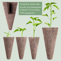 125 pěstebních houbiček, 50 náhradních pěstebních houbiček, příslušenství hydroponického startovacího systému s 50 štítky, 12 izolačními uzávěry, 12 košíky na rostliny, 1 pinzetou